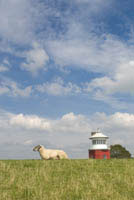 II23_Brokdorf09_0165.jpg