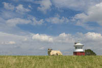 II23_Brokdorf10_0164.jpg