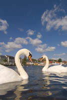 IJ01_Flensburg03_0120.jpg
