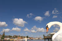 IJ01_Flensburg06_0196.jpg