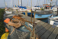 IJ02_Lang05_0155.jpg