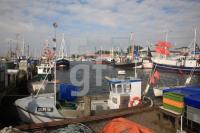 IK03_Fehmarn09_1333.JPG