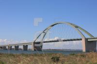 IK03_Fehmarn53_1333.JPG
