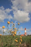 IK03_Fehmarn56_1333.JPG