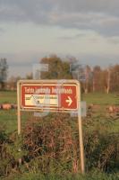 IL02_Tief_1344.JPG
