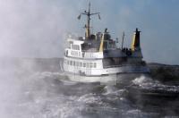IL04_Adler01_0601