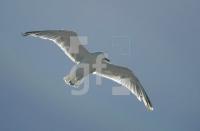 IL04_Amrum03_0603