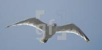 IL04_Amrum04_0604