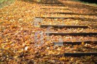 IL14_Herbst05_0115.JPG