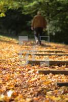 IL14_Herbst06_0119.JPG