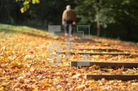 IL14_Herbst07_0121.JPG