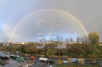 IL29_Regen01_0131.JPG