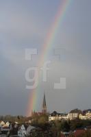 IL29_Regen02_0136.JPG