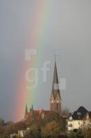 IL29_Regen03_0137.JPG