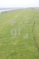 JC31_Deich01_0137.jpg