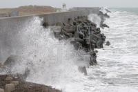 JE10_Helgoland16_0106.JPG
