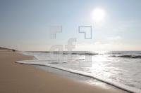 JF07_Sylt04_0141.jpg