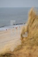 JF07_Sylt11_0177.jpg
