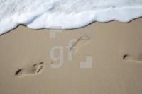 JF07_Sylt31_0158.JPG
