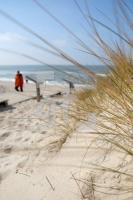 JF07_Sylt33_0197.JPG