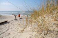 JF07_Sylt34_0191.JPG