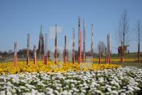 JF20_LGS02_0121.JPG