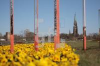 JF20_LGS03_0125.JPG