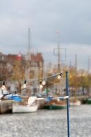 JL28_Luebeck09_0188.jpg