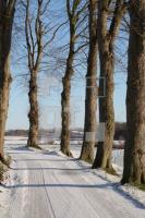 KC05_Schlei06_0159.JPG
