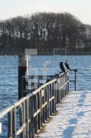 KC05_Schlei10_0169.JPG
