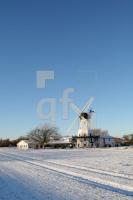 KC05_Westerholz03_0101.JPG