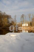 KC06_Eider04_0146.JPG