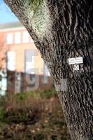 KC21_Landtag04_0121.JPG