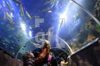 KD01_SeaLife07_0173.JPG