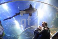 KD01_SeaLife09_0161.JPG