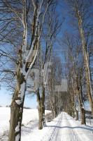 KD14_Allee03_0163.JPG
