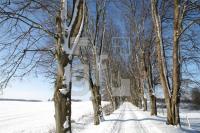 KD14_Allee04_0162.JPG