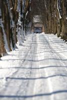 KD14_Allee05_0158.JPG
