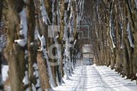 KD14_Allee07_0143.JPG