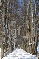 KD14_Allee09_0133.JPG