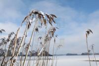 KD14_Soerup04_0129.JPG