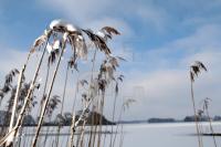 KD14_Soerup05_0122.JPG
