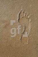 KF12_Fuss02_0172.JPG