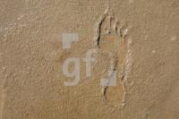 KF12_Fuss03_0171.JPG