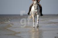 KF12_Reiten02_0129.JPG
