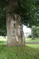 KI29_Bordesholm05_0170.JPG