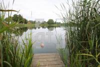 KI29_Bordesholm06_0188.JPG