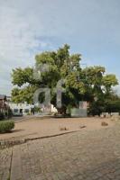 KI29_Bordesholm08_0105.JPG
