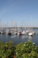 KJ19_Kopperby02_0172.JPG