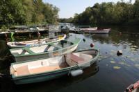 KK08_Schwentine01_0153.JPG